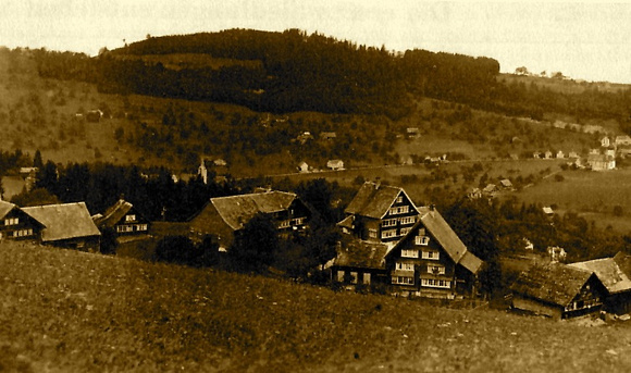 0890 Burg Schwarzenegg
