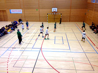 Handballturnier 2012