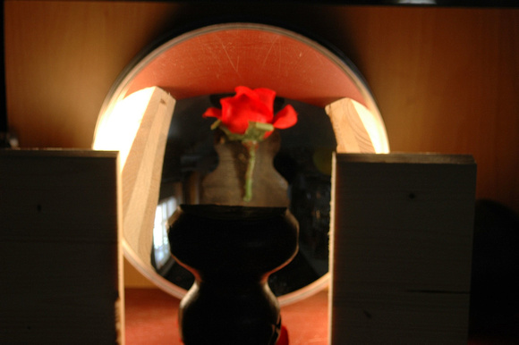 Rose in der Vase